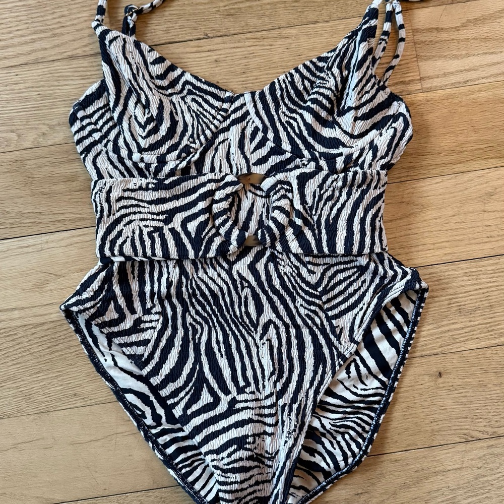 Montce Zebra Print Swimsuit